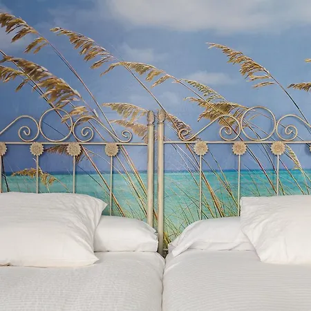 Salamandra Plaza Bed and breakfast