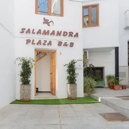 Salamandra Plaza 2* Cómpeta