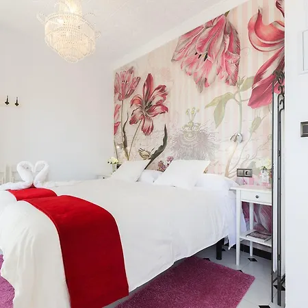 Bed and breakfast Salamandra Plaza